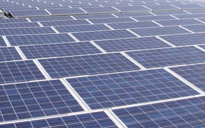 Large-Scale Solar Project Tenders